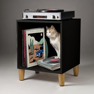 Móvel Nicho Cubo Porta Vinil Lp Disco - Organizador 55cm:preto