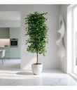 Ver imagem 1 de Árvore Artificial Grande 2.10m Planta Artificial Realista, Decoração de Casa e Eventos.