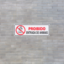 Ver imagem 3 de Combo 10 Placas de Sinalização Proibido Entrada de Animais 30x10 Acesso - P-34 F9e