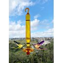 Ver imagem 1 de Bebedouro De Vidro Borossilicato Âmbar Prato Beija-flor e Pássaros Ar livre