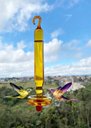 Ver imagem 1 de Bebedouro De Vidro Borossilicato Âmbar Prato Beija-flor e Pássaros Ar livre