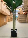 Ver imagem 4 de Ficus Lyrata Artificial Planta Permanente para Sala 1.50m