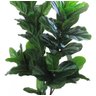 Ficus Lyrata Artificial Planta Permanente para Sala 1.50m - 9