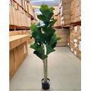 Ver mais imagens de Ficus Lyrata Artificial Planta Permanente para Sala 1.50m