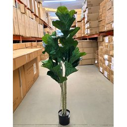 Ficus Lyrata Artificial Planta Permanente para Sala 1.50m - 8