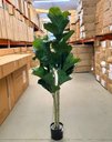 Ver mais imagens de Ficus Lyrata Artificial Planta Permanente para Sala 1.50m