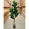 Ficus Lyrata Artificial Planta Permanente para Sala 1.50m - 2