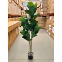 Ver imagem 2 de Ficus Lyrata Artificial Planta Permanente para Sala 1.50m