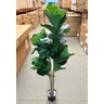 Ficus Lyrata Artificial Planta Permanente para Sala 1.50m - 5