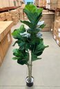 Ver imagem 5 de Ficus Lyrata Artificial Planta Permanente para Sala 1.50m