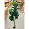 Ficus Lyrata Artificial Planta Permanente para Sala 1.50m - 7