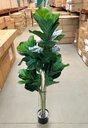 Ver imagem 7 de Ficus Lyrata Artificial Planta Permanente para Sala 1.50m