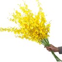 Ver imagem 2 de Kit 10 Galhos Hastes Buque de Flores Orquideas Artificiais