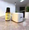 Ver imagem 2 de Óleo Concentrado Magnólia Pacífica 20ml - Arabesc Lenvie