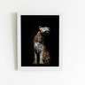 Onça Pintada Foto Minimalista Quadro Moldura Branca 60x40cm - 1