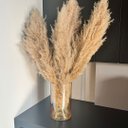 Ver imagem 2 de Vaso centro de mesa grande de vidro âmbar com planta natural