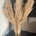Ver imagem 4 de Vaso centro de mesa grande de vidro âmbar com planta natural