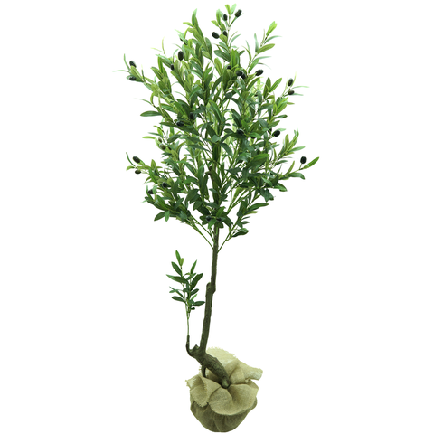 Arvore Planta Oliveira Oliva Verde 140cm Caule Real para Vaso e Sala
