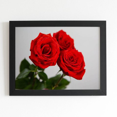 Quadro Rosas Três Flores Decorativo Moldura Preta 60x40cm
