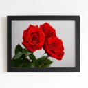 Ver imagem 1 de Quadro Rosas Três Flores Decorativo Moldura Preta 60x40cm