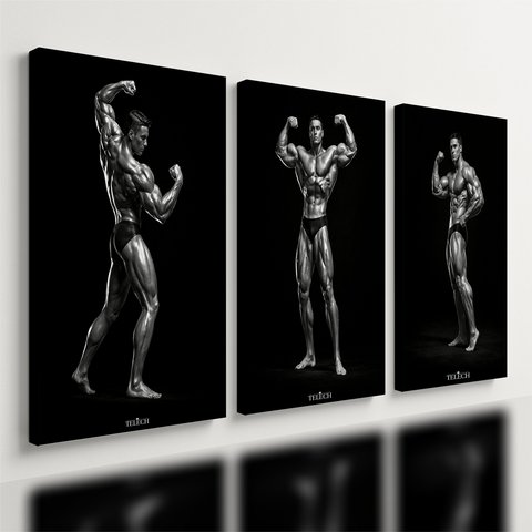 Kit 3 Quadro Decorativo Musculação Fisiculturismo Academia Moderno 28x20cm
