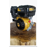 Motor Buffalo Bfg 4t 16.0cv Rental - 2