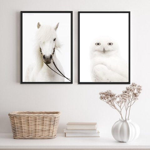 Kit 2 Quadros Fotografias Animais Brancos 24x18cm - com Vidro:madeira Preta