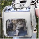 Ver imagem 3 de Mochila Transporte Cachorro Gato Pet Cao Animal de Estimaçao Pequeno Porte Viagem Passeio Alça Ombro
