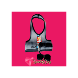 Peitoral Arreio Pet +Guia SnobDog Roupinhas - G - Cinza - 12