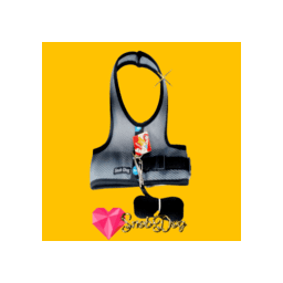 Peitoral Arreio Pet +Guia SnobDog Roupinhas - G - Cinza - 11