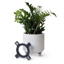 Ver imagem 5 de Suporte em Polipropileno 30cm C/4 Rodas até 100kg Tech Plant