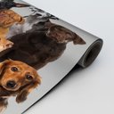 Ver imagem 3 de Adesivo de Porta - Dogs