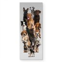Ver imagem 2 de Adesivo de Porta - Dogs