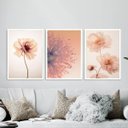 Ver imagem 2 de Kit 3 Quadros Fotos Modernas Flores Tons Pêssego 33x24cm:moldura Branca
