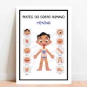 Ver imagem 1 de Placa Educacional Partes do Corpo Humano Menino - 40x60cm