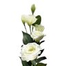 Haste de Lisianthus Creme Permanente - 2