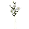 Haste de Lisianthus Creme Permanente - 1