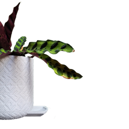 Vaso de planta Guarani - com dispenser de água -  Branco marmorizado - p14/15 - 2
