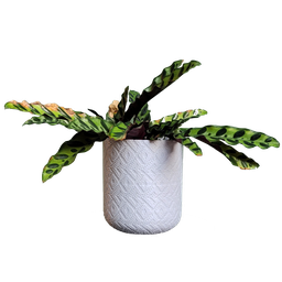 Vaso de planta Guarani - com dispenser de água -  Branco marmorizado - p14/15 - 1