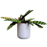 Vaso de planta Guarani - com dispenser de água -  Branco marmorizado - p14/15 - 1