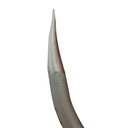 Ver mais imagens de Balança Estadeira Manual Capacidade 300kg Be300 - Brião