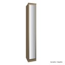 Ver imagem 1 de Guarda Roupa Modulado 01 Porta de Vidro 245cm com Prateleira Setiba