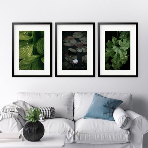 Kit 3 Quadros Grandes Folhas - 60x48cm:moldura Preta