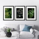 Ver imagem 1 de Kit 3 Quadros Grandes Folhas - 60x48cm:moldura Preta