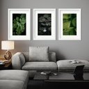 Ver imagem 2 de Kit 3 Quadros Grandes Folhas - 60x48cm:moldura Preta