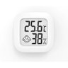 Termômetro Higrômetro Medidor Umidade Temperatura Pequeno - 1