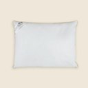 Ver imagem 1 de Travesseiro Pluma Confort 50x90cm - A\casa
