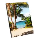 Ver imagem 1 de Quadro Puerto Rico Beach