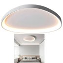 Ver imagem 1 de Luminaria Paflon Led 3 em 1 Controle Remoto Iluminaçao Ajustavel Decoraçao Casa Sala de Estar Quarto