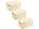 Ver imagem 1 de Kit 3 Caixas Organizadoras C/ Tampa Grande 15 L Rattan Creme